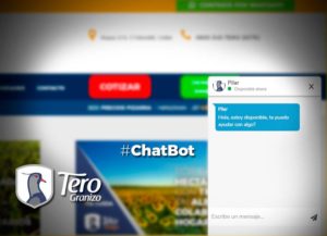 chatbot