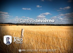 cultivo invierno