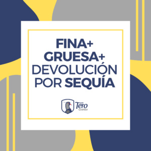 fina gruesa 3