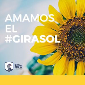 girasol