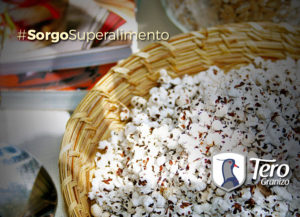 sorgo