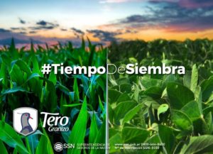 tiempo de siembra