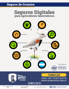 flyer tero 10 iconos